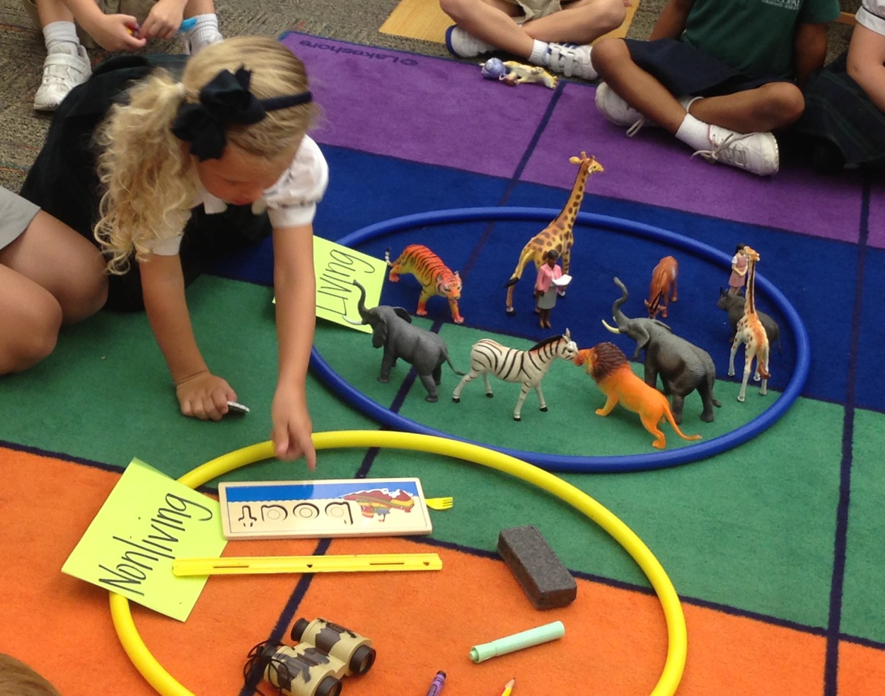 photo[4].JPG (1251×984) | Science center preschool, Kindergarten